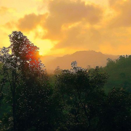 Апартаменты Green Jungle " Cool View" Элла Экстерьер фото