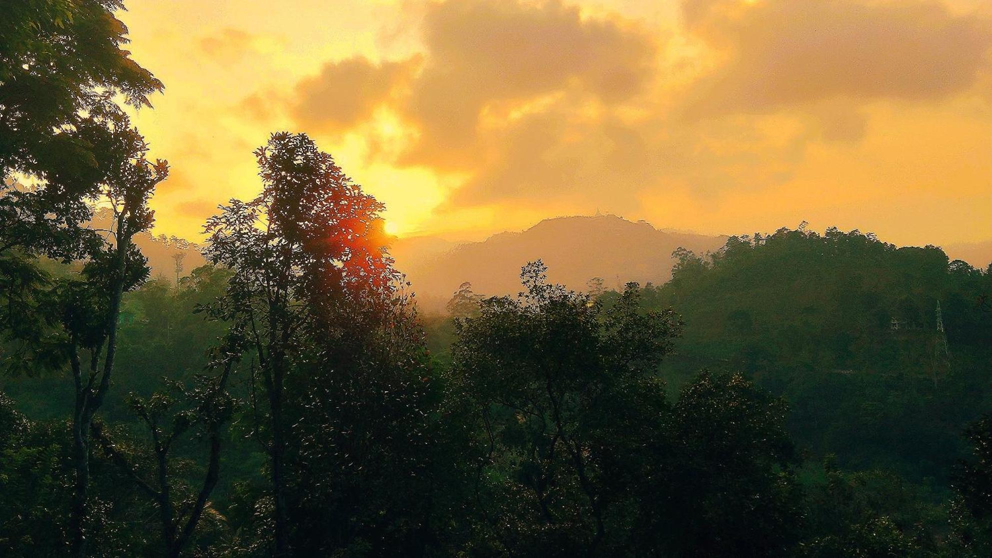 Апартаменты Green Jungle " Cool View" Элла Экстерьер фото